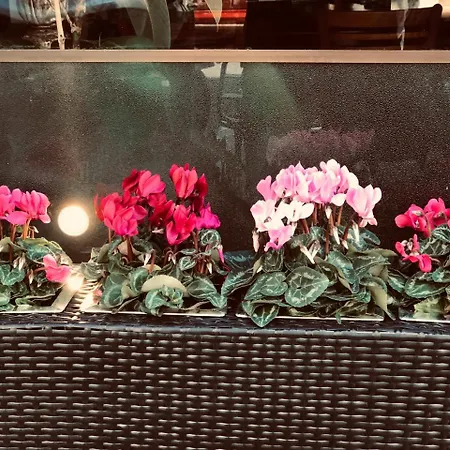 アルベールギノ B＆b ベッド・アンド・ブレックファスト