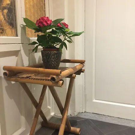 阿尔贝吉诺住宿加早餐酒店 4* 佛罗伦萨